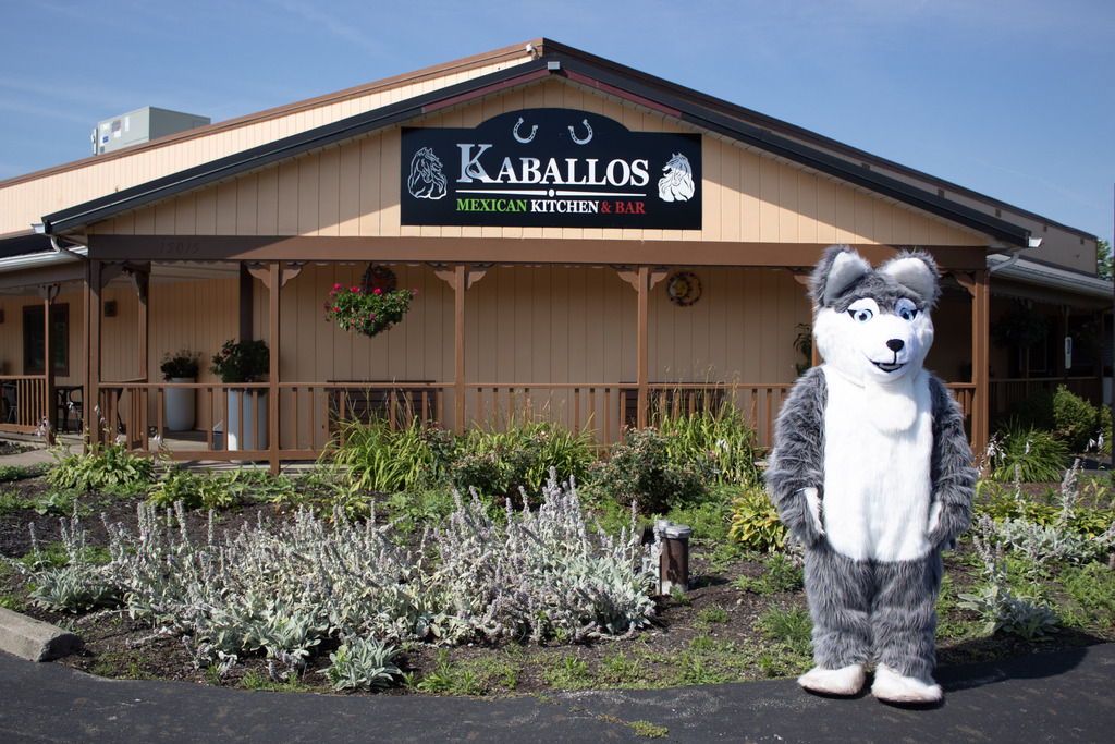 Where in the community is our Huskie?
