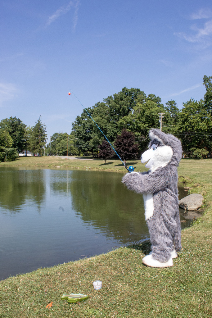 Where in the community is our Huskie?