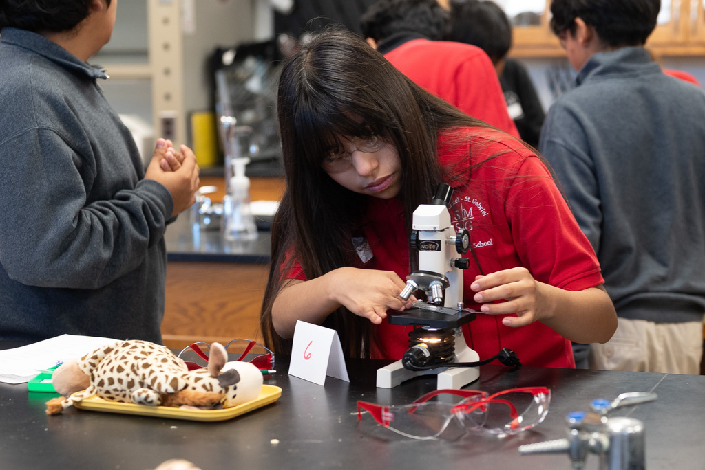 CRHS - SMSG Shadow Day 2026