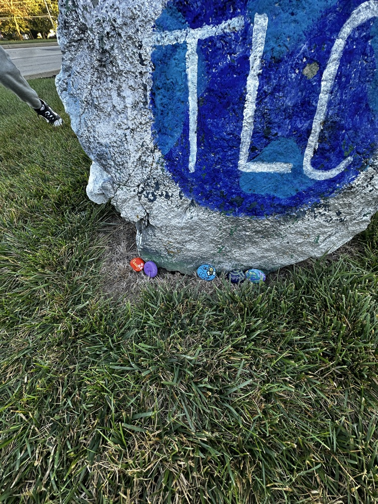 rocks