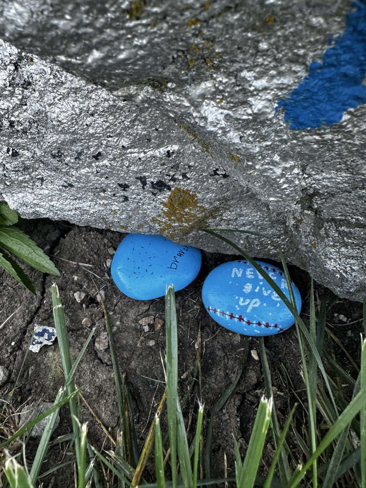 rocks