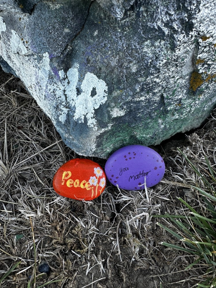 rocks