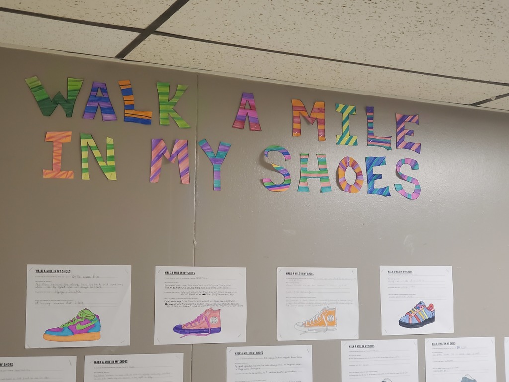 Walk a mile in my shoes