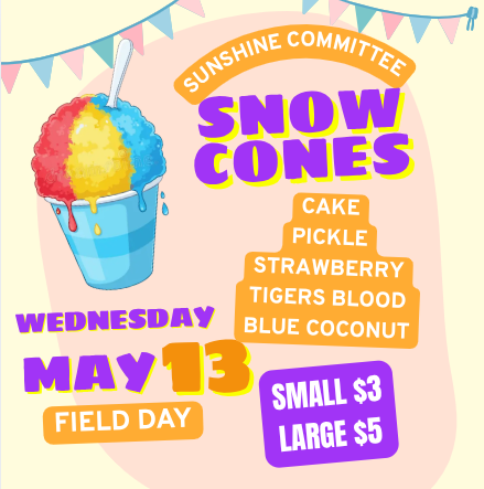 Elementary Field Day!