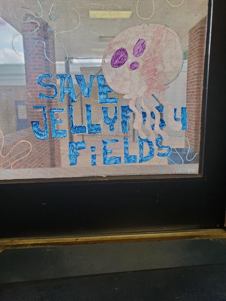 Jellyfish