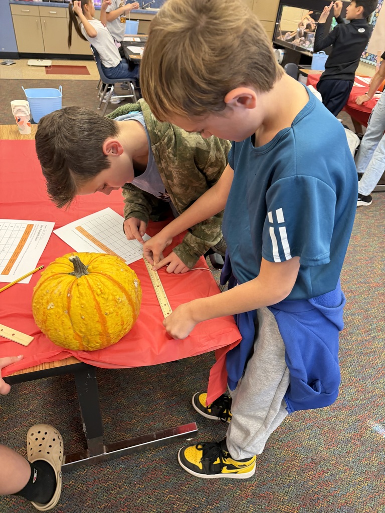 Hands on pumpkin learning.