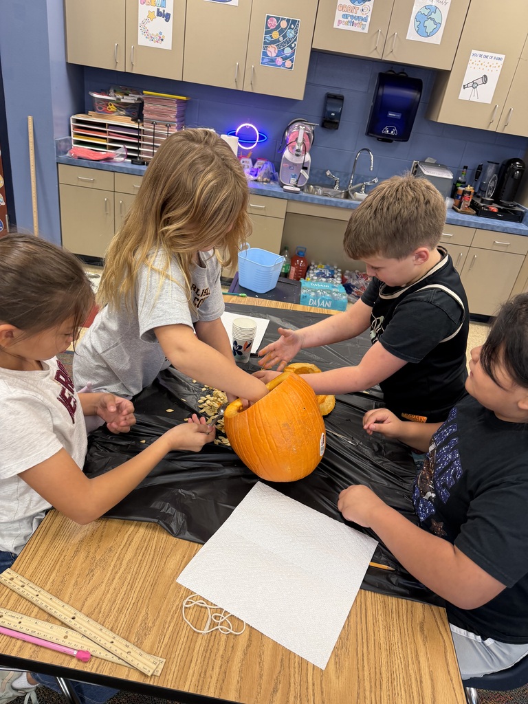 Hands on pumpkin learning.