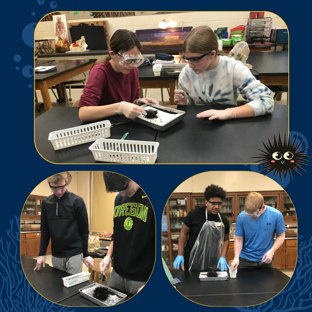 A digital collage of students in Biology 1 doing dissections