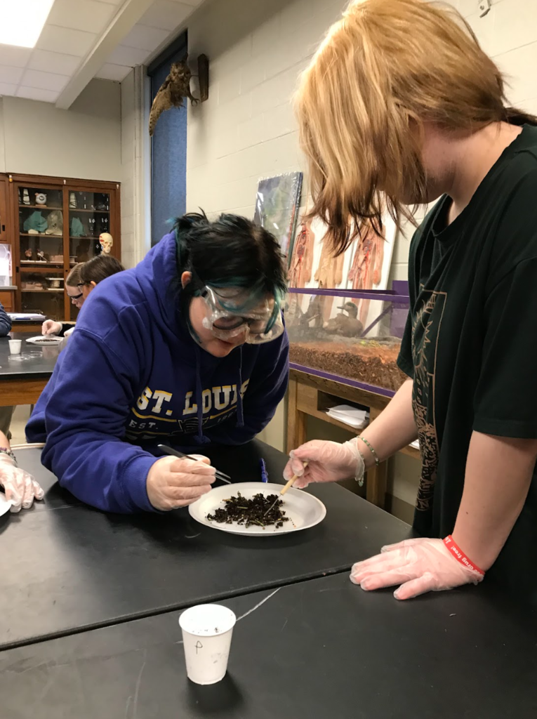 Biology 1 students work on their elephant project