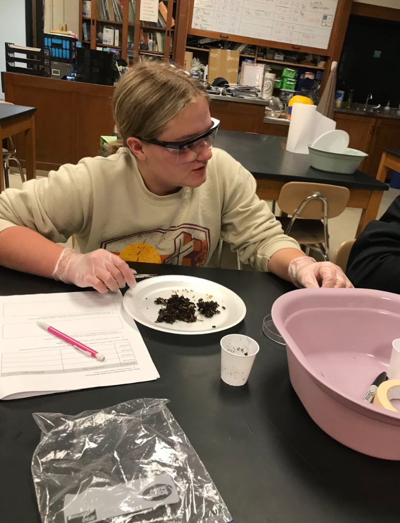 Biology 1 students work on their elephant project
