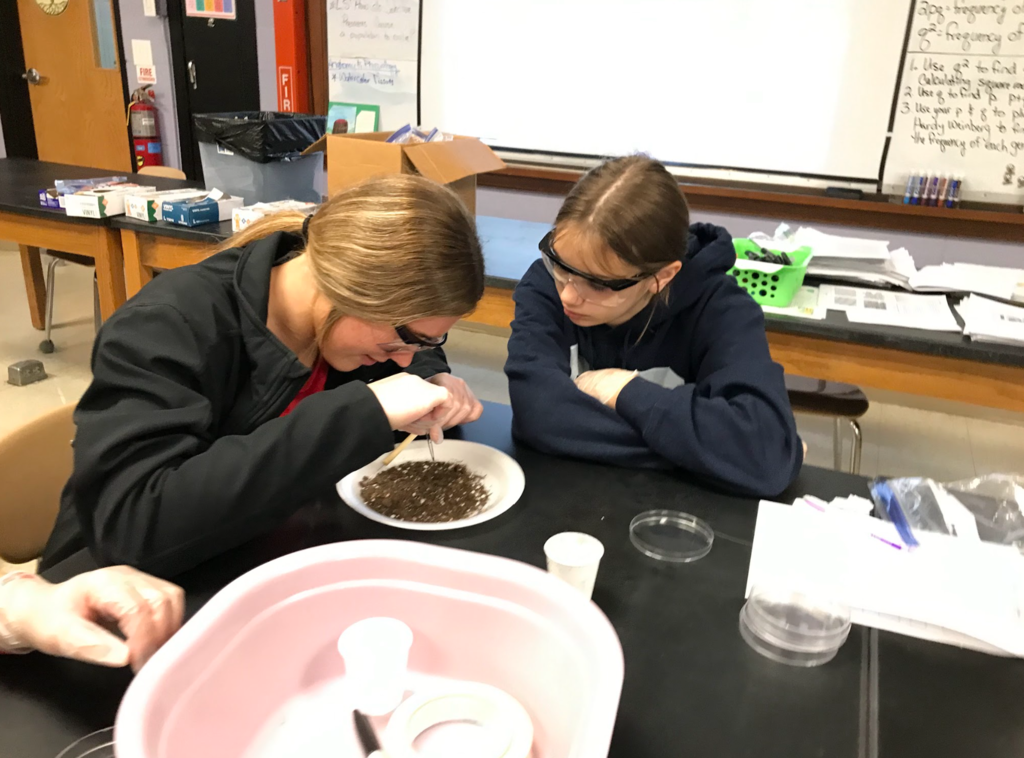 Biology 1 students work on their elephant project