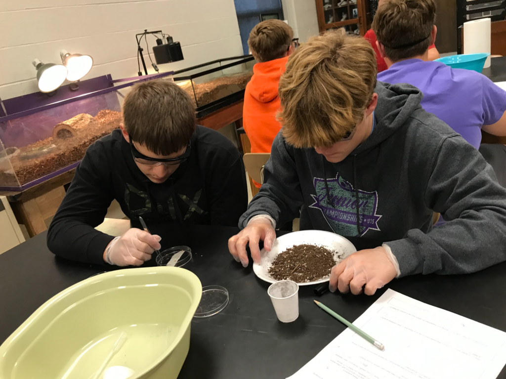 Biology 1 students work on their elephant project