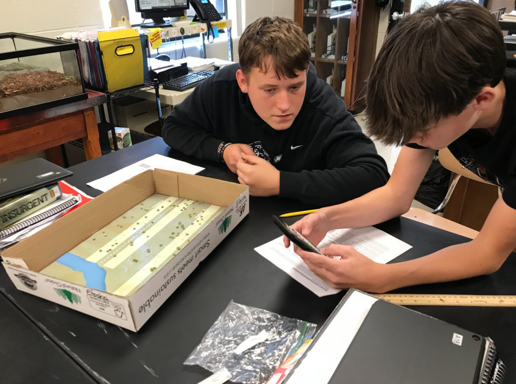 Biology 1 students work on their elephant project