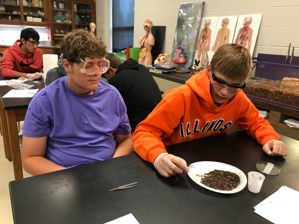 Biology 1 students work on their elephant project