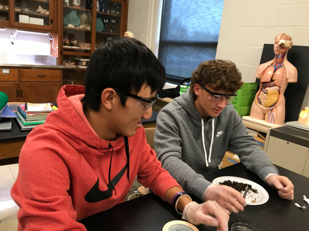 Biology 1 students work on their elephant project