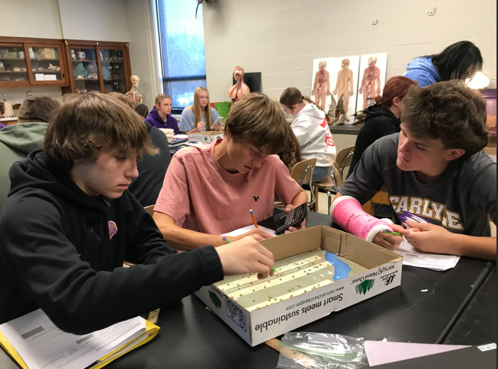 Biology 1 students work on their elephant project