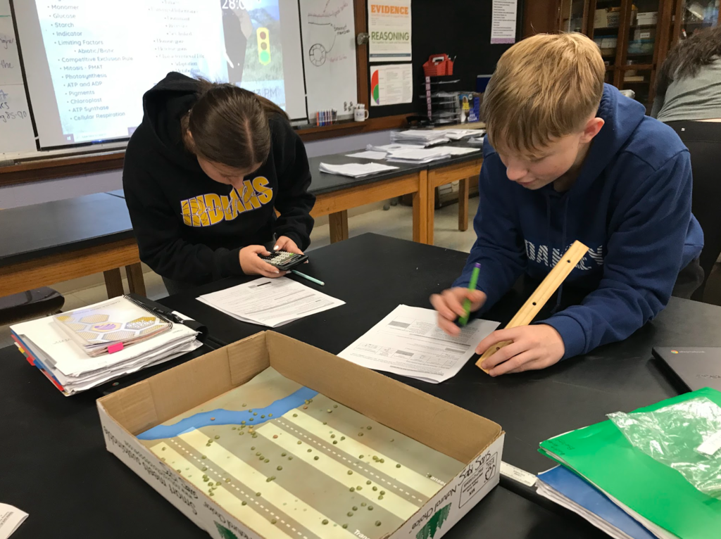 Biology 1 students work on their elephant project