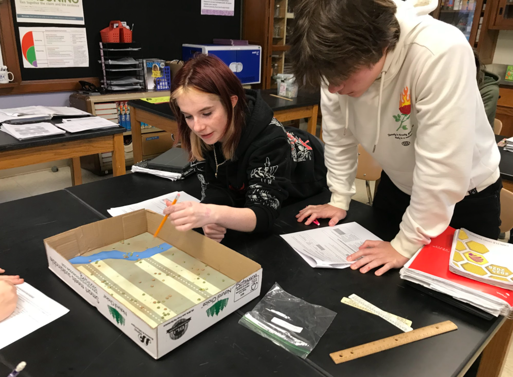 Biology 1 students work on their elephant project