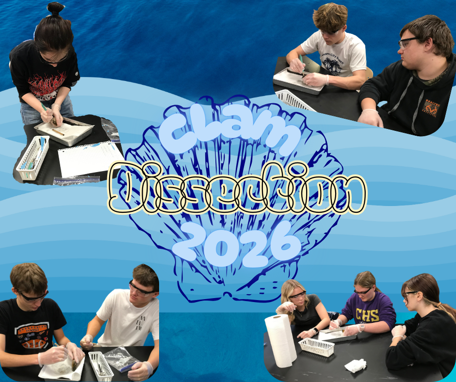 A photo collage titled "Dissections" set against a blue ocean background. Six photos show students wearing safety goggles and gloves working in pairs to dissect marine specimens in metal trays. Decorative illustrations include a sea turtle at the top and a red crab with seaweed at the bottom.