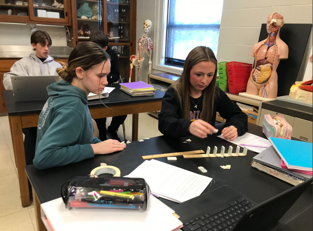 2 female students work on the domino lab