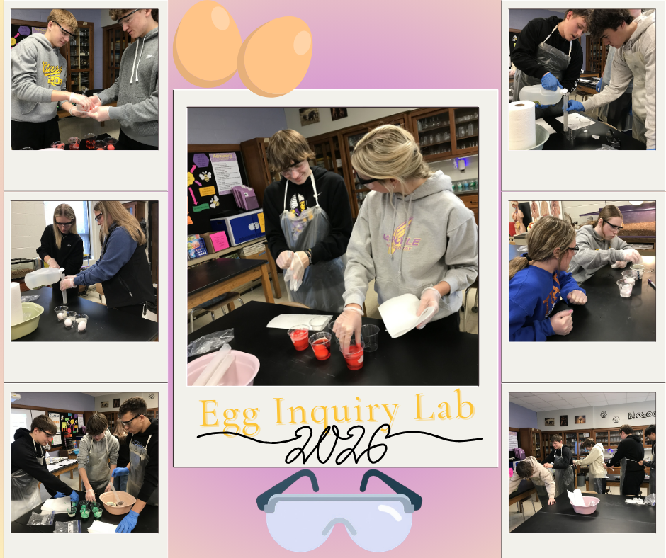 Graphic collage titled “Egg Inquiry Lab 2026” in purple and gold. Photos show high school students wearing safety goggles and gloves working together in a science classroom. They pour liquids, test eggs in cups of colored solutions, measure ingredients, and record observations at lab tables. The central image features two students focused on their experiment, with additional photos around the border showing teamwork, concentration, and hands-on learning. Egg and beaker graphics decorate the design