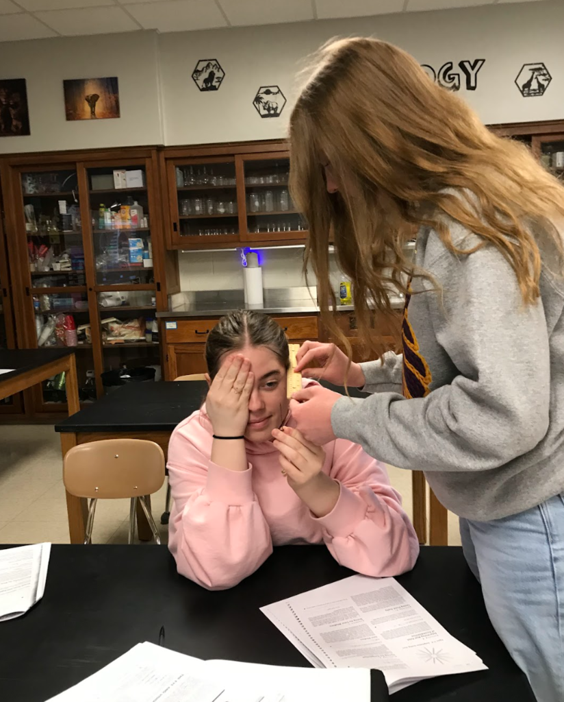 students work on dissection