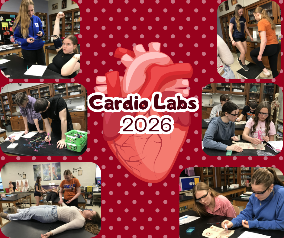 A graphic with a red background with white polka dots. Six images of students working on the lab appear around a real looking heart sticker. The words in the center of the page reads “Cardio Labs 2026”