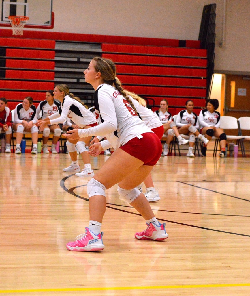 volleyball