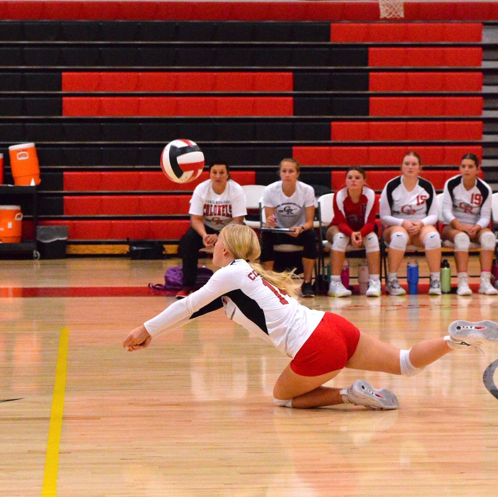 volleyball
