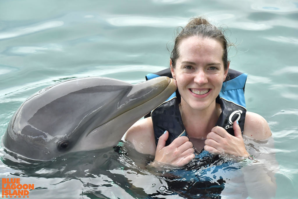 Osterle, Dolphins Bahamas