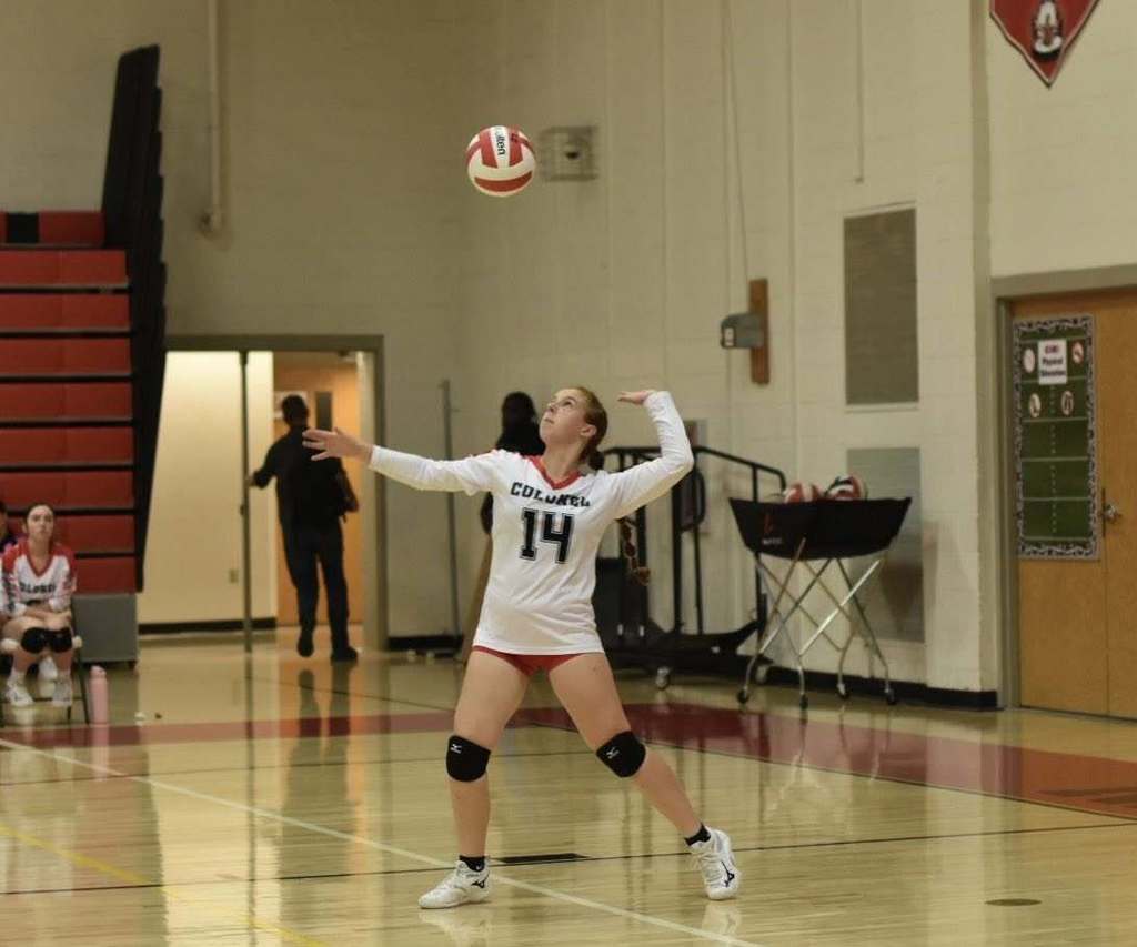 volleyball
