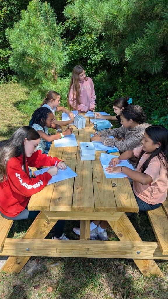 Students working outside 