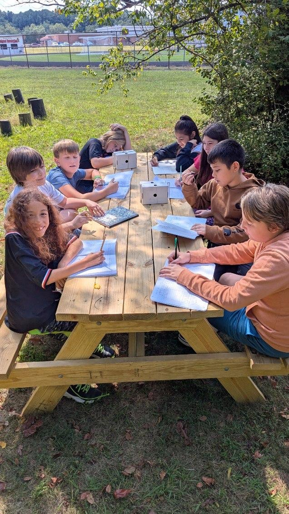 Students working outside 