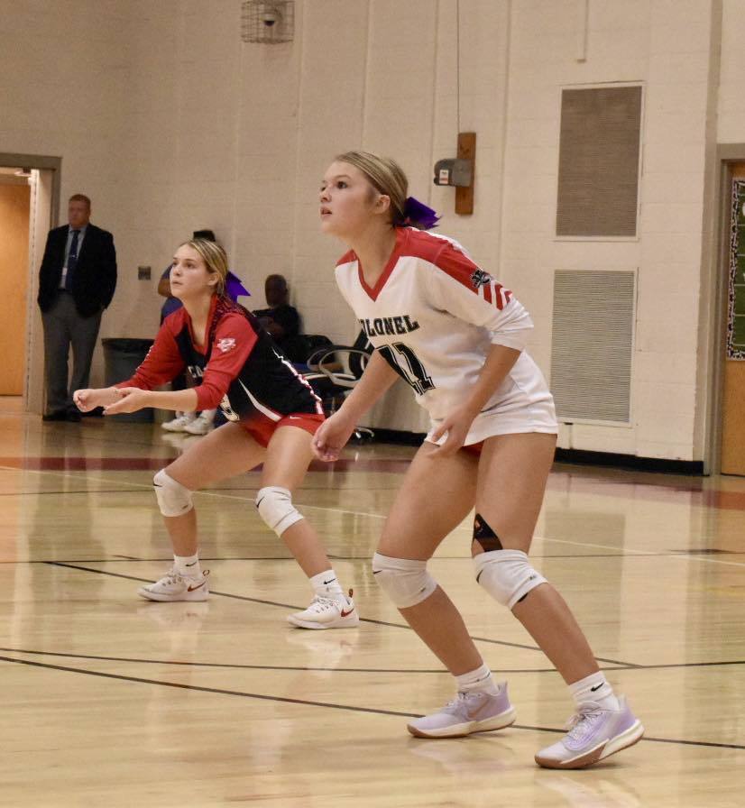 volleyball