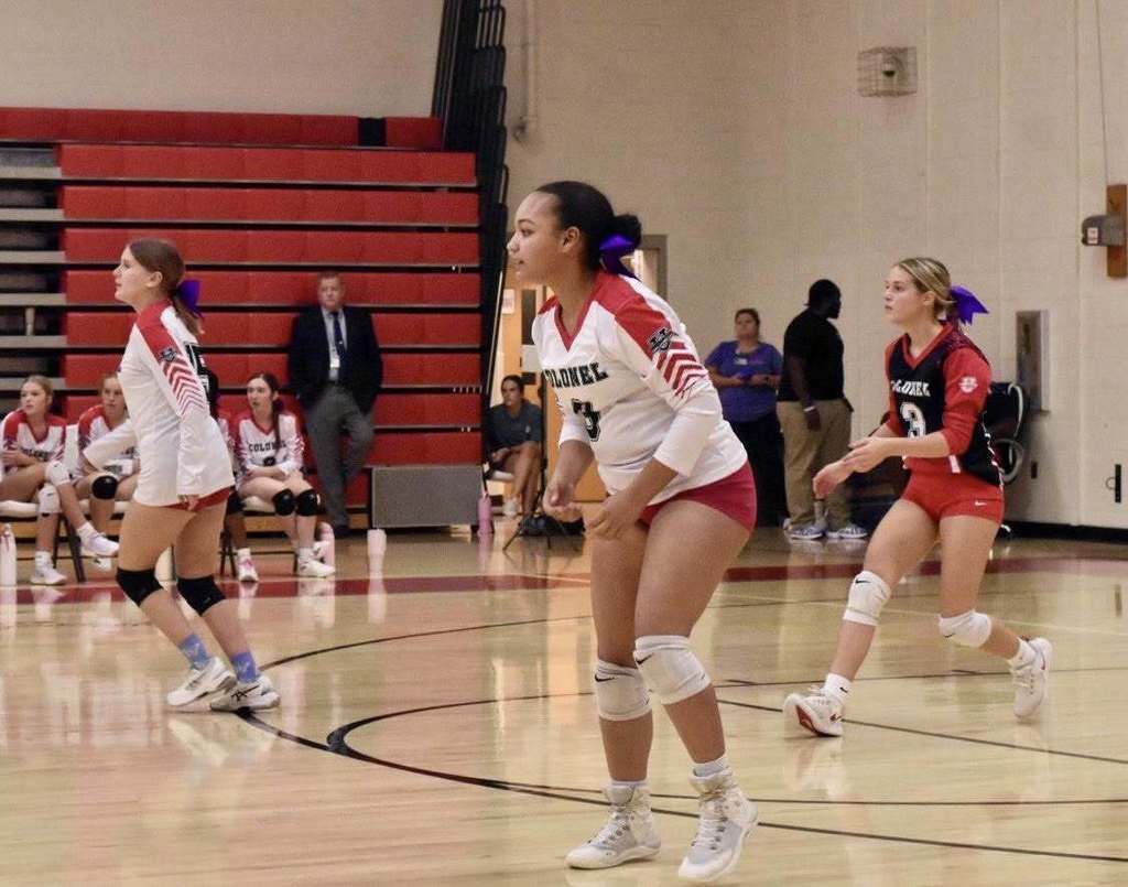 volleyball