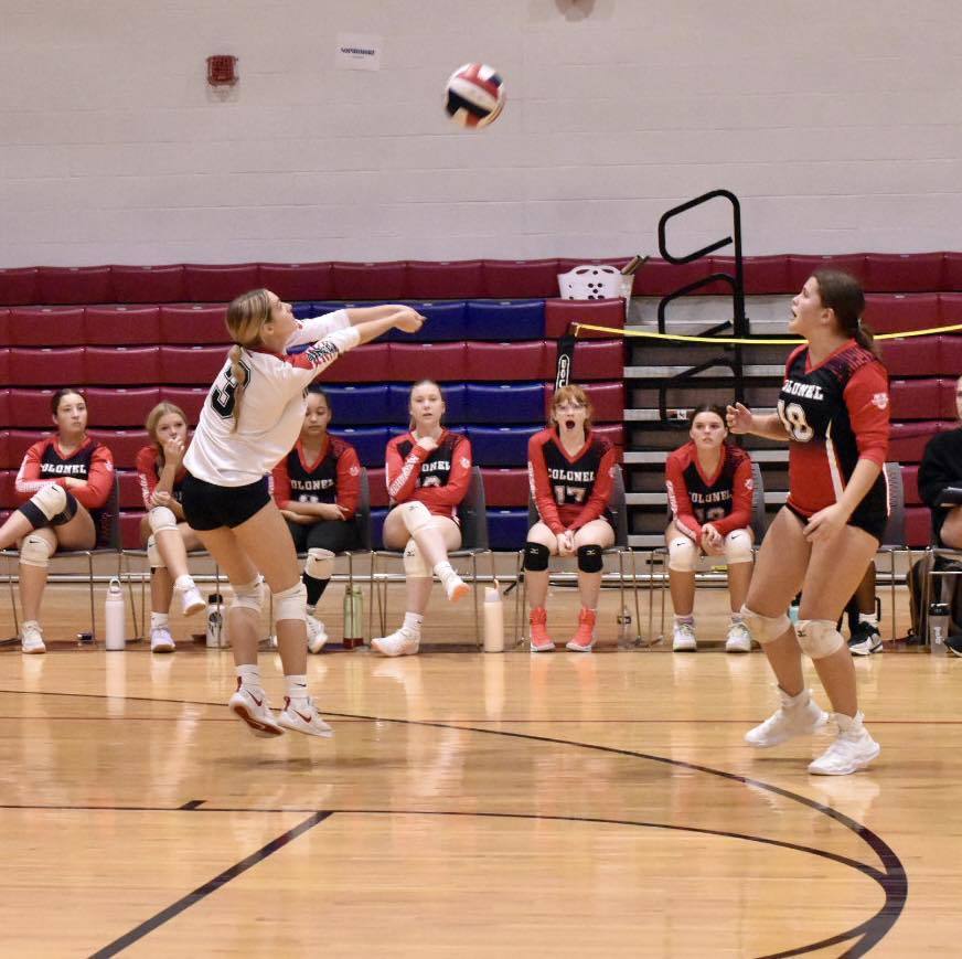 volleyball