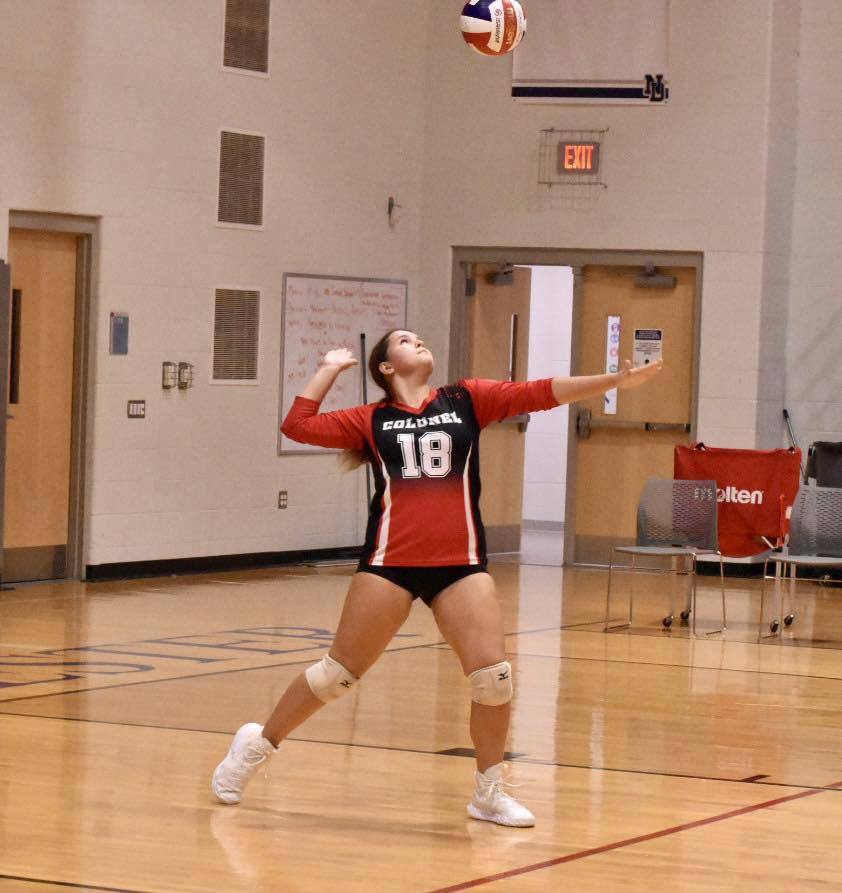 volleyball