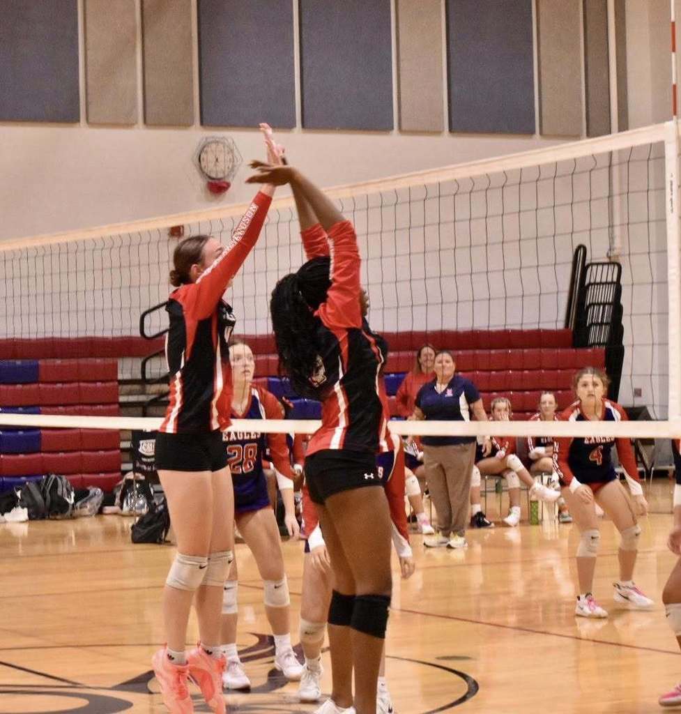 volleyball
