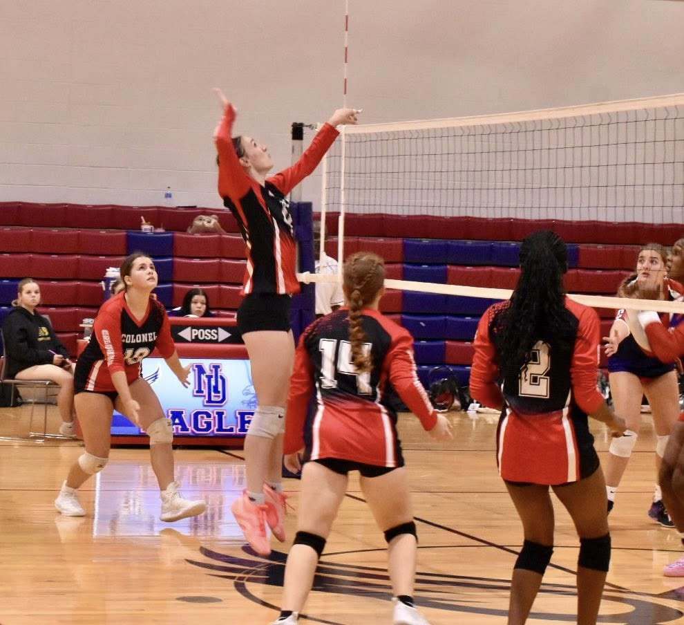 volleyball