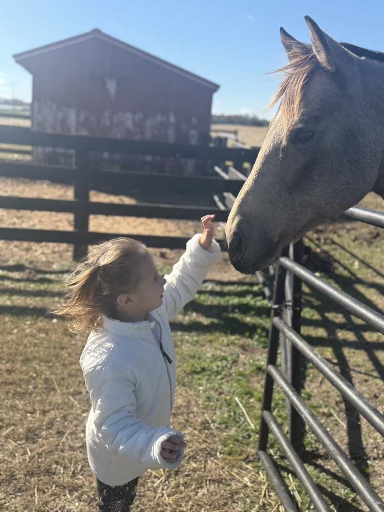 Pk student and horse 