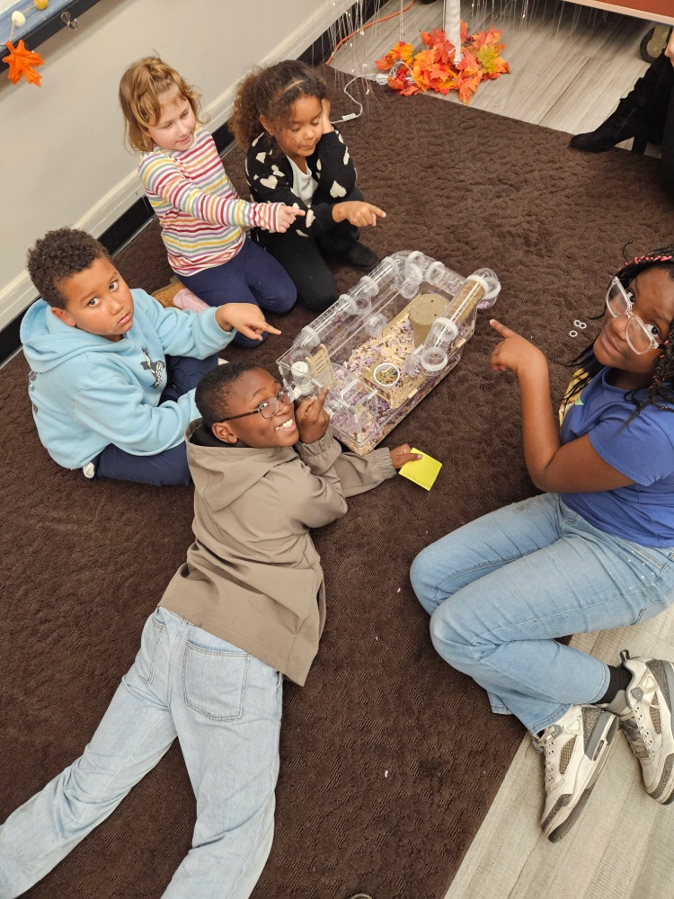 students with hamster