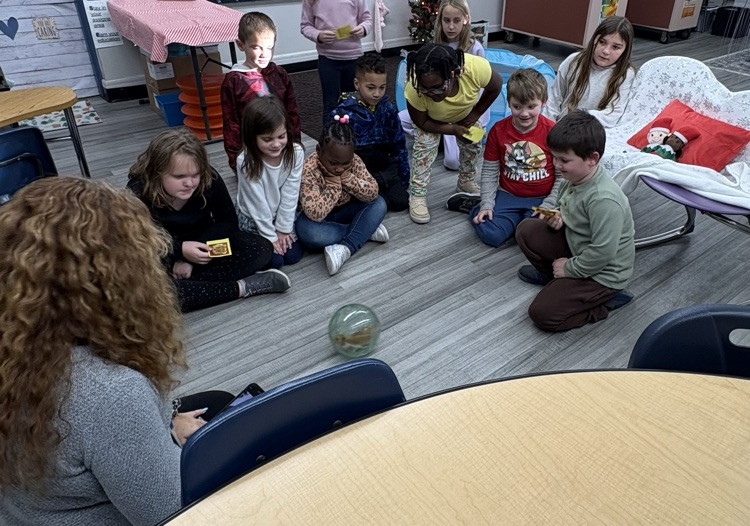students and hamster