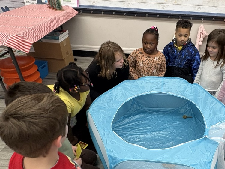 students and hamster