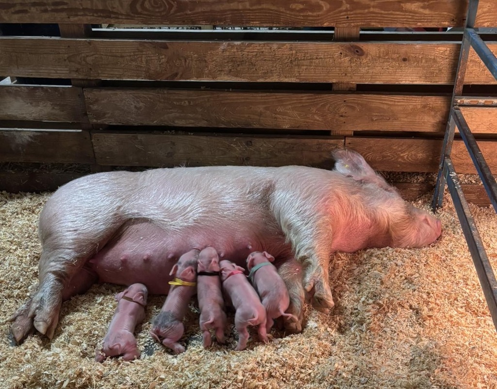 612789628_10173419790755109_3972150032361717016_n