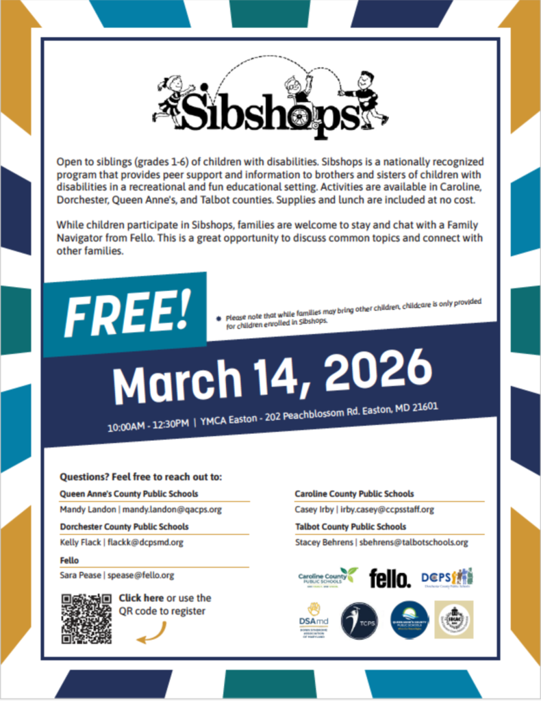 Screenshot 2026-03-11 at 11