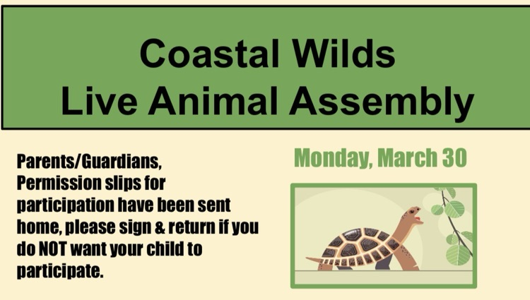 Coastal Wilds  Live Anima assembly on March 30