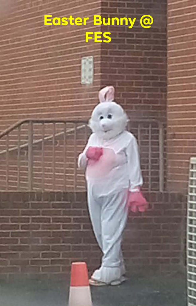 adult in bunny costumes