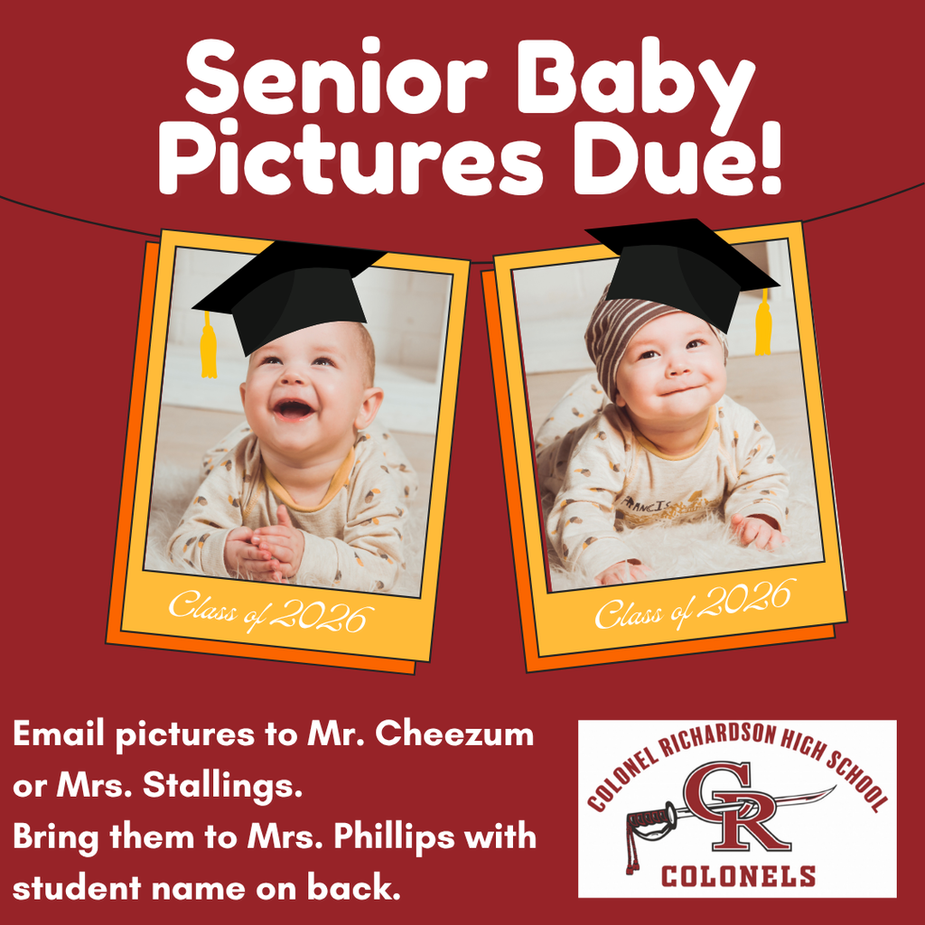 Senior Baby Pictures Due