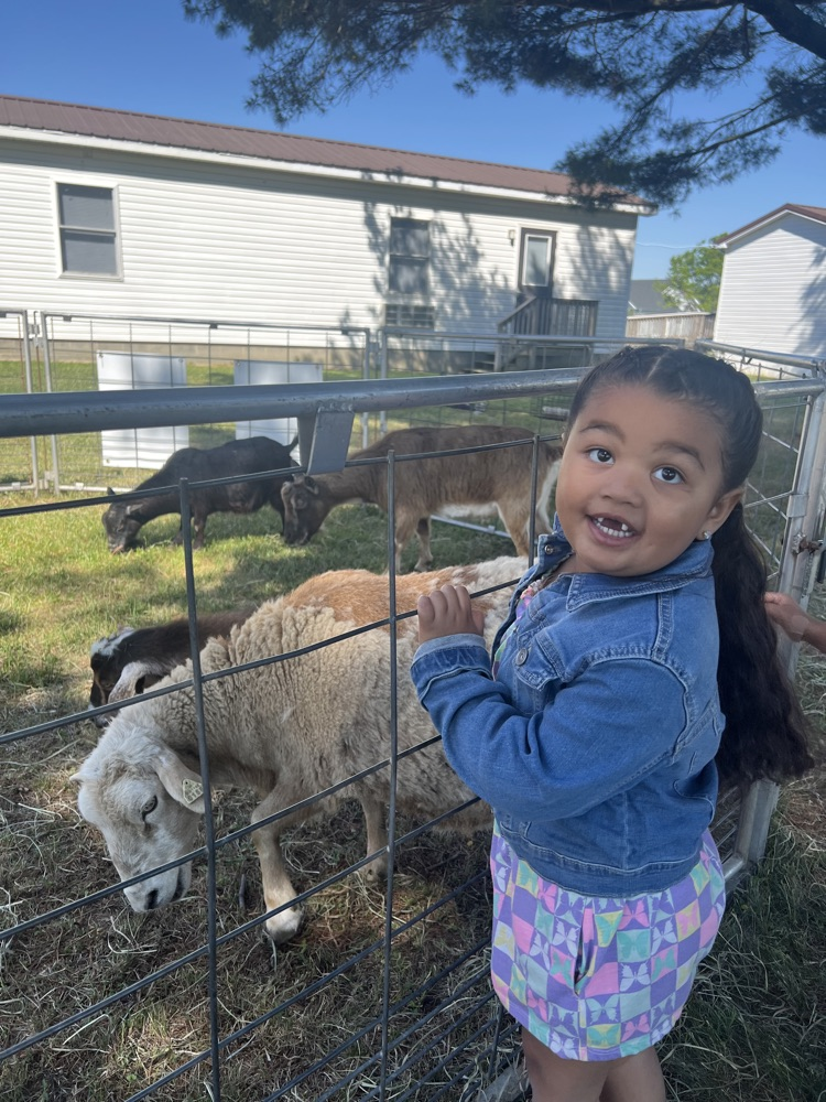 student and animals