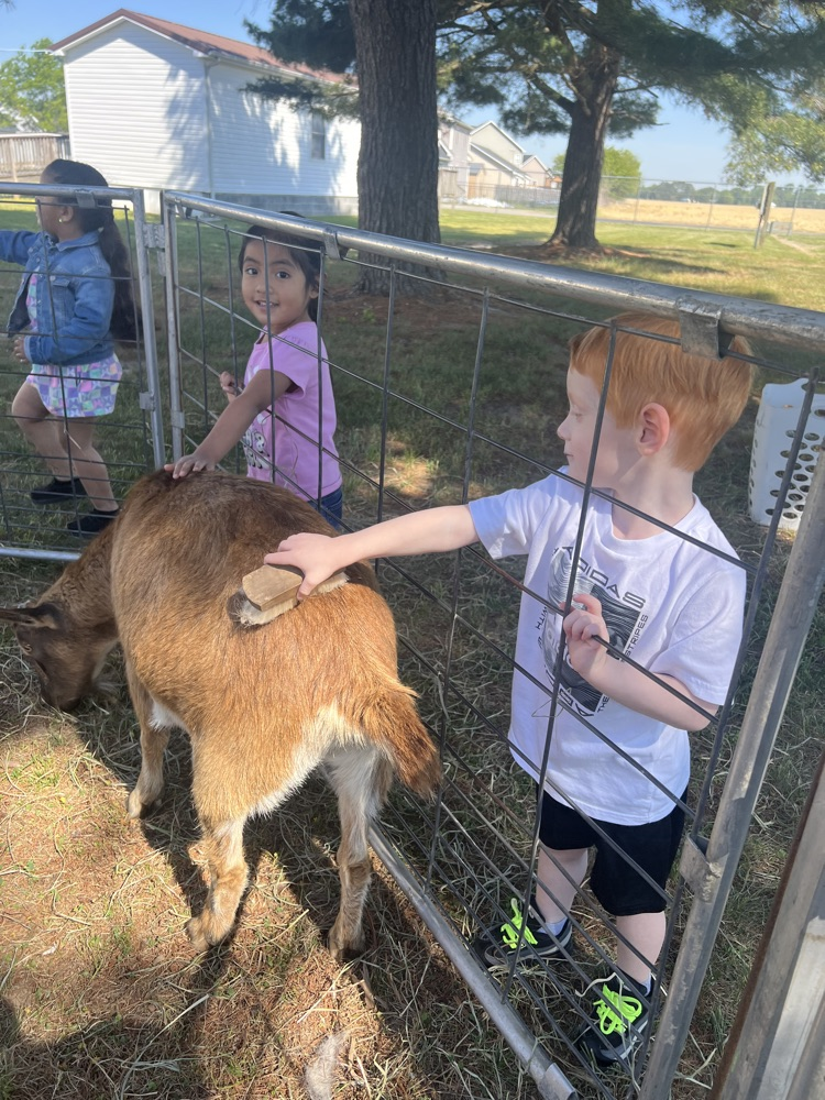 students and animals